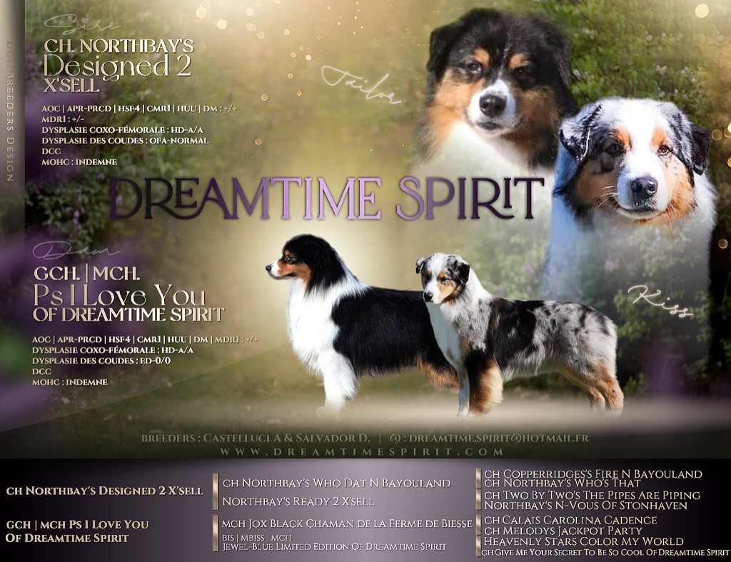 chiot Berger Australien of Dreamtime Spirit