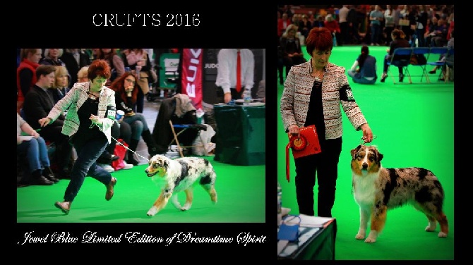 CRUFTS 2016